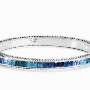 Brighton Jewelry Spectrum set